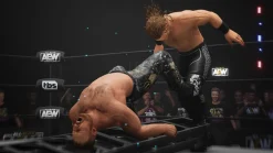 AEW All Elite Wrestling Fight Forever PS5^THQ NORDIC GAMES Online