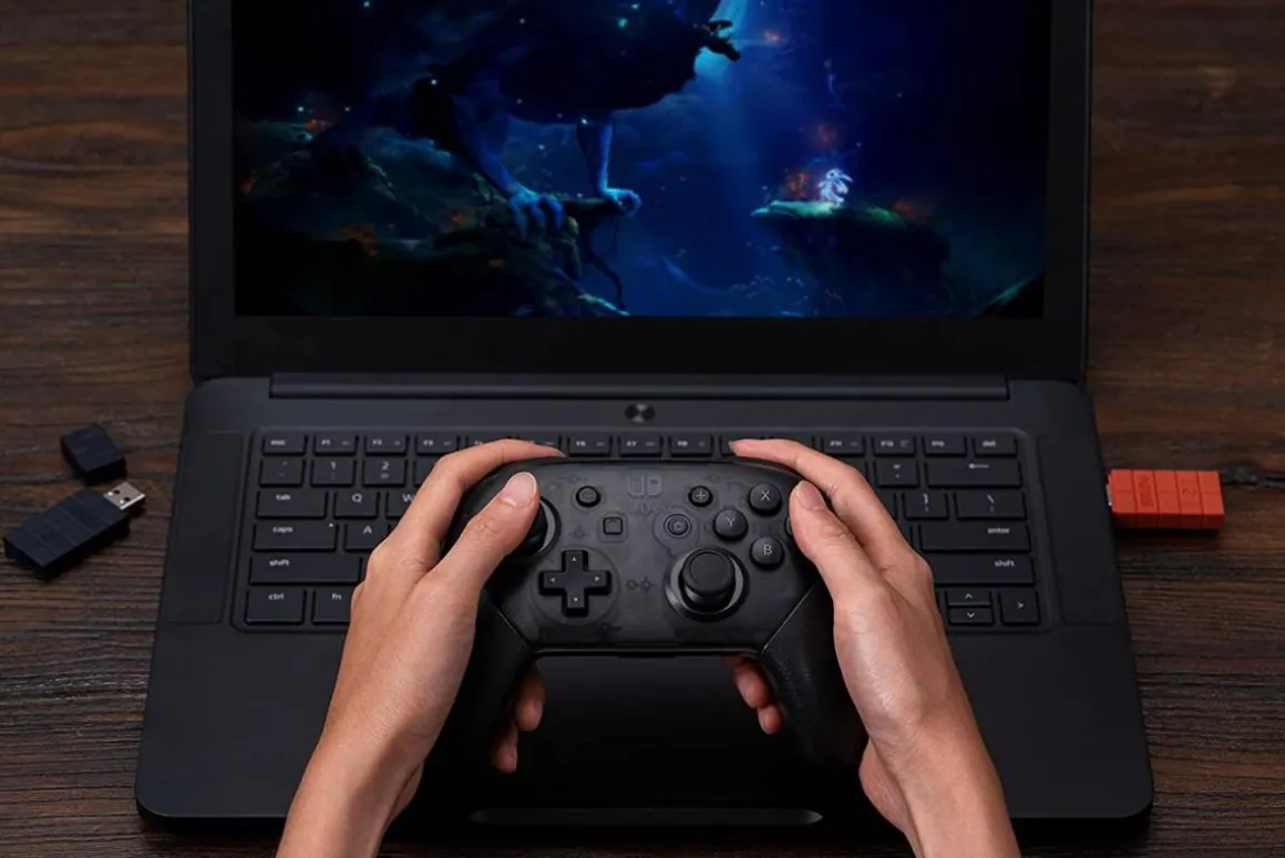 Adaptateur Wireless USB pour Windows/Mac/Raspberry Pi/Xbox/PS5/Nintendo Switch^8Bitdo Online