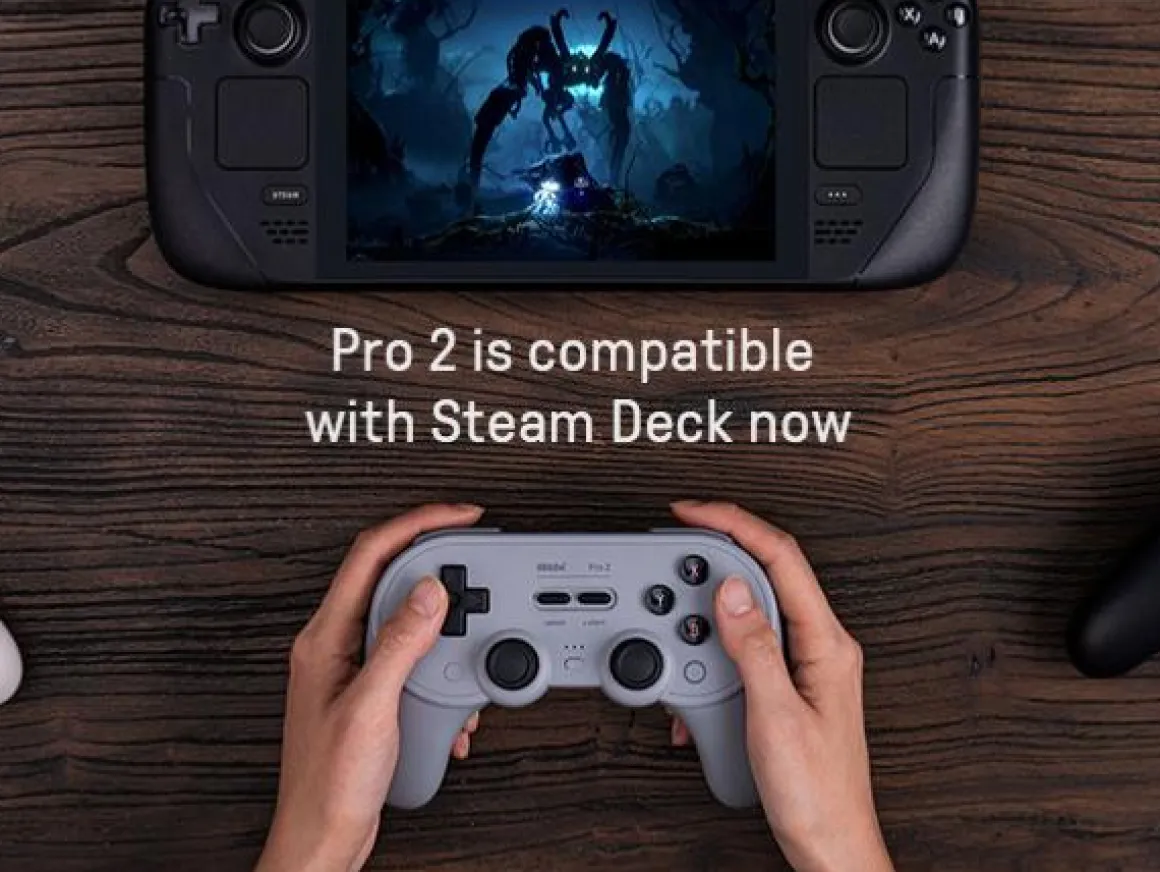 PRO 2 Gamepad Hall Effect - Black New Edition^8Bitdo Best Sale