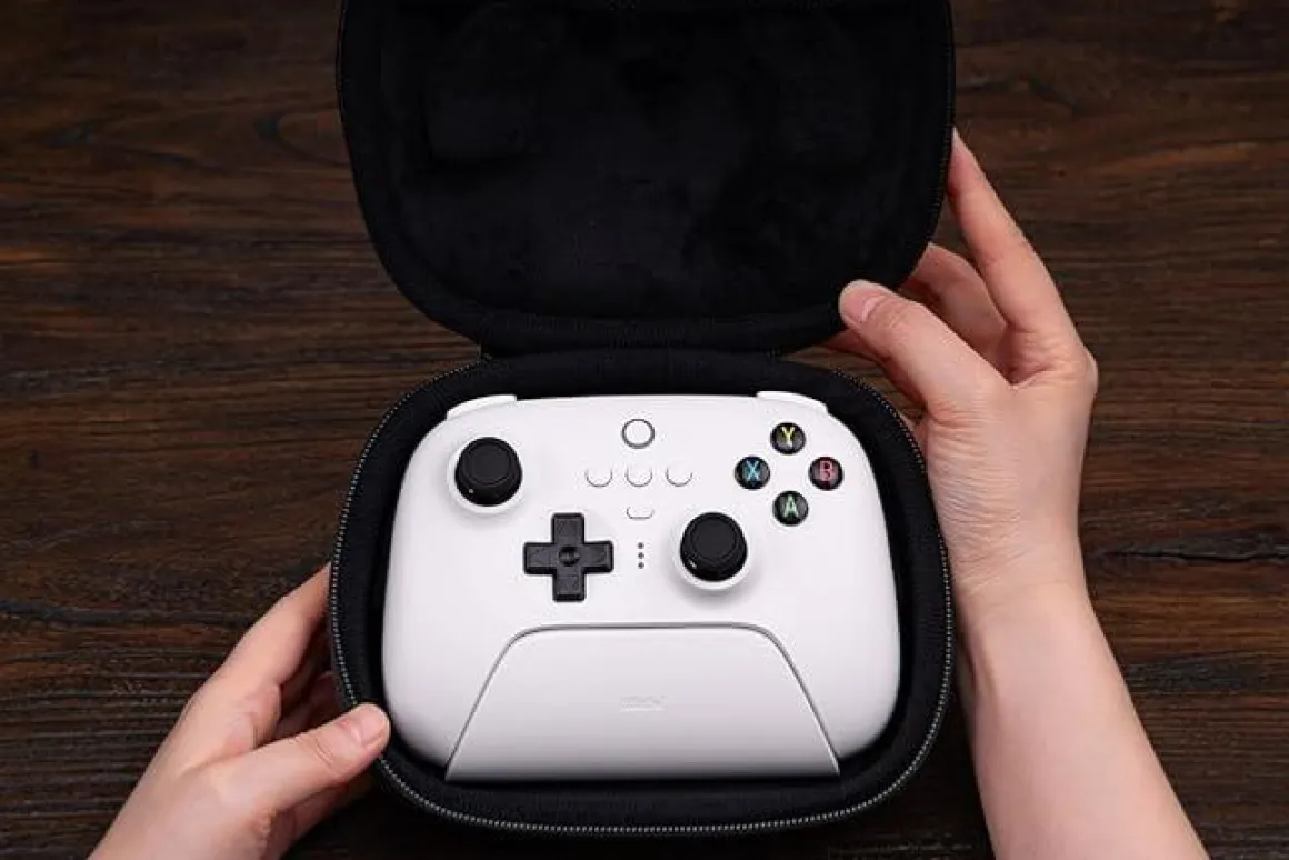 Travel case - Ultimate controller^8Bitdo Cheap