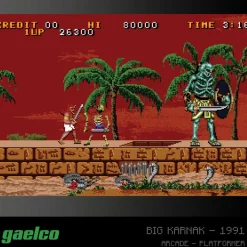 Blaze - Gaelco (Piko) Arcade Collection 2 - Cartouche Arcade n°6^Evercade Shop