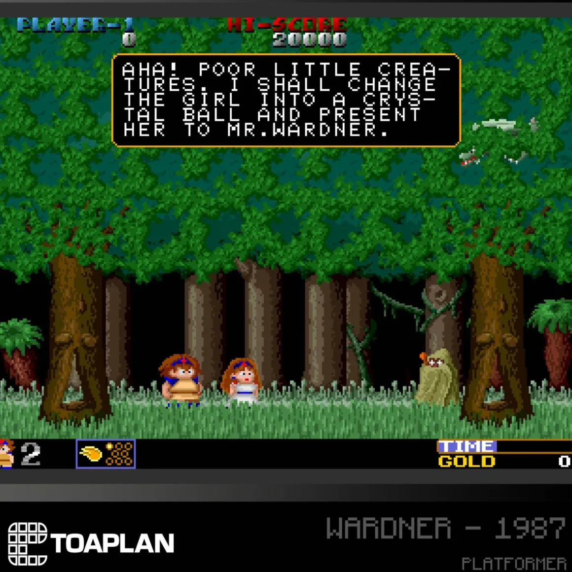 Blaze - Toaplan Collection 2 - Cartouche Arcade n° 09^Evercade Store