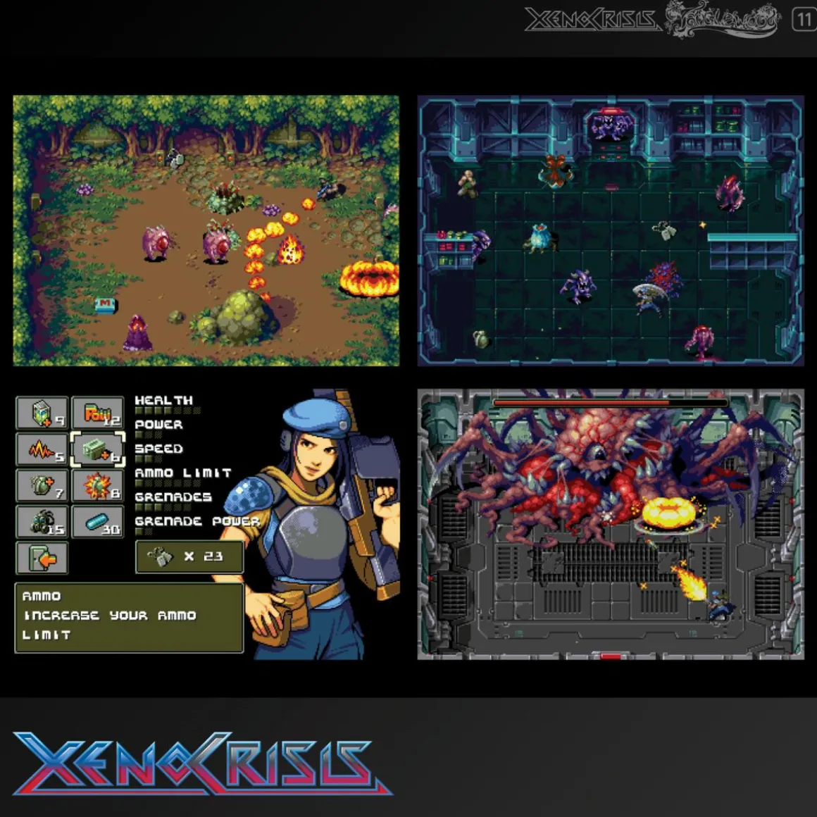 Blaze - Xeno Crisis + Tanglewood - Cartouche n° 11^Evercade Flash Sale