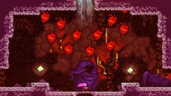 Celeste Nintendo SWITCH^FANGAMER Best