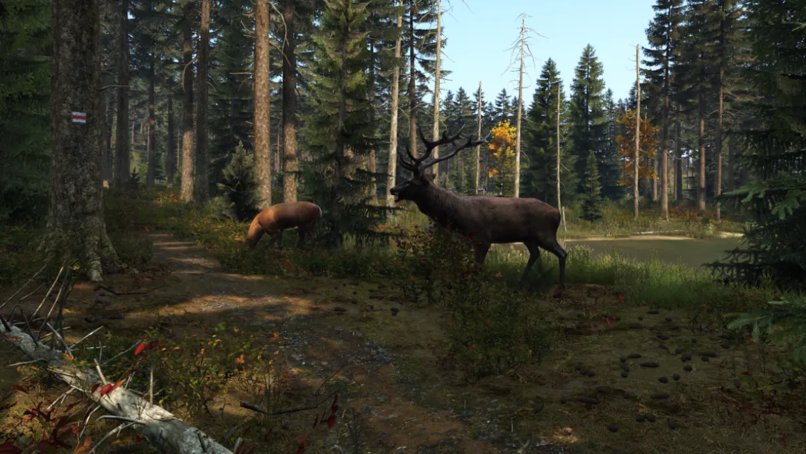 DayZ PS4^Fireshine New