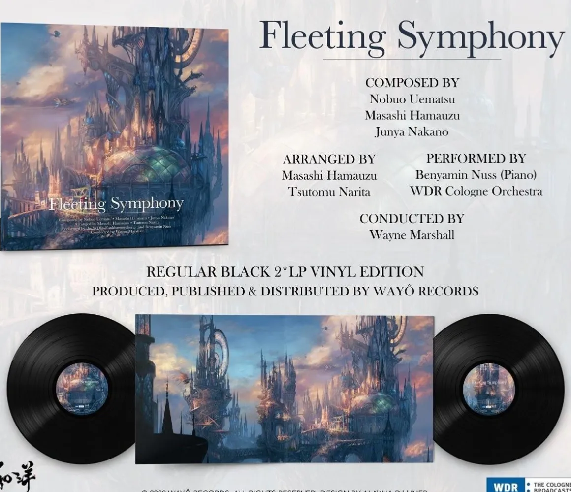 Fleeting Symphony Vinyle - 2LP^BIGWAX Cheap