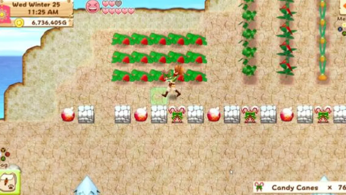 Harvest Moon Nintendo Switch^RISING STAR New
