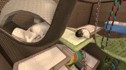 House Flipper Pets Edition Nintendo SWITCH^MERGE Fashion