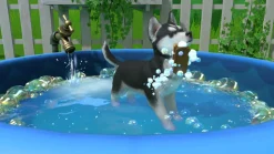 Little Friends Puppy Island Nintendo SWITCH + Bonus Bague de Téléphone^Fireshine Online