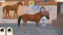 Ma Vie avec les Chevaux 3 Nintendo SWITCH^MINDSCAPE Fashion