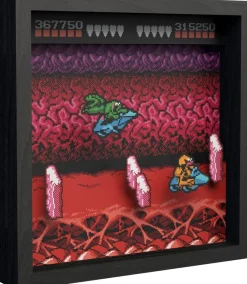 Pixel Frames - Battletoads NES Turbo Tunnel - 23x23 cm^Level Up Labs New
