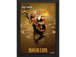 Pixel Frames Plax - Street Fighter 6 - Dhalsim^Level Up Labs Best