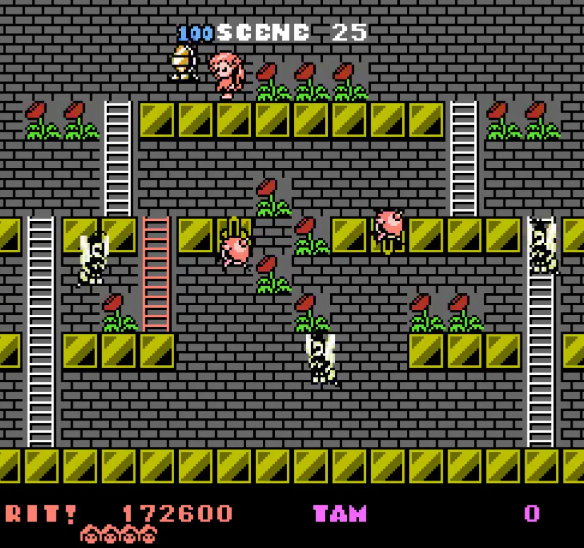 Rod Land Collector’s Edition Cartouche NES^retro-bit Best
