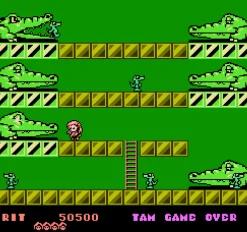 Rod Land Collector’s Edition Cartouche NES^retro-bit Best