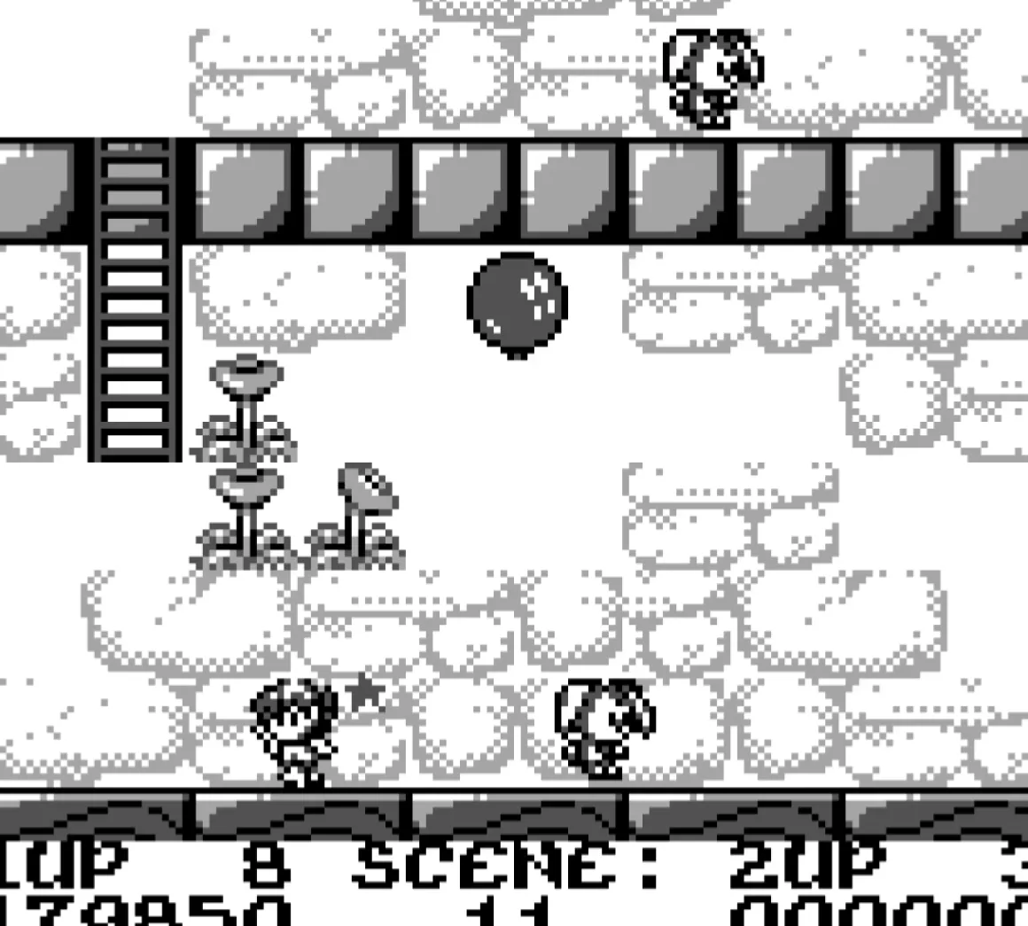 Rod Land Collector’s Edition Cartouche Game Boy^retro-bit Best Sale