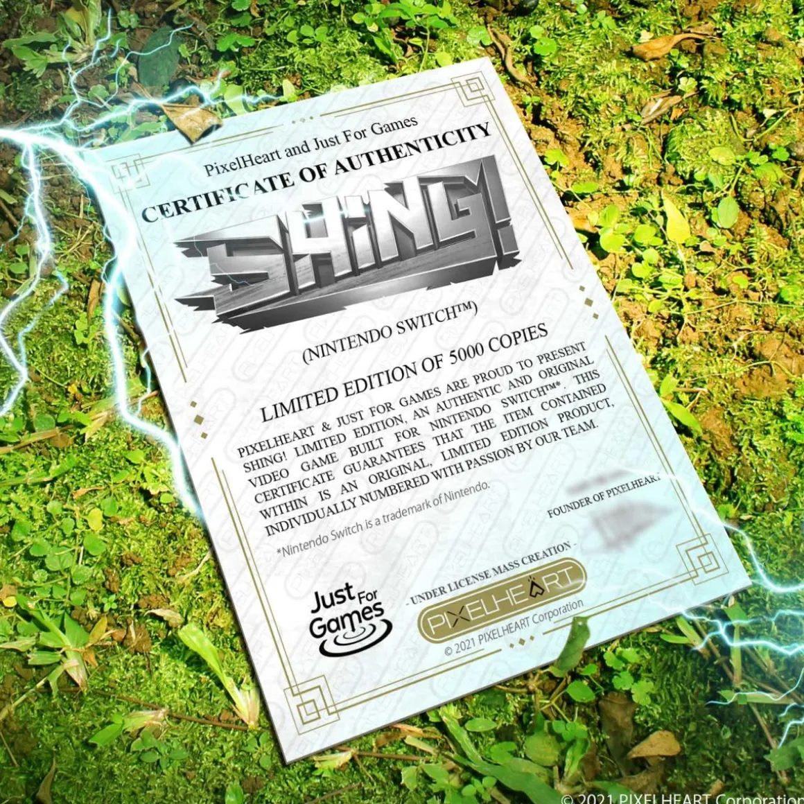 SHING! Nintendo Switch Just Limited^PixelHeart Outlet