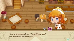 Story of Seasons : Friends of Mineral Town SWITCH^MARVELOUS Store