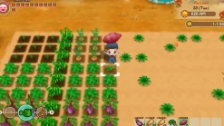 Story of Seasons : Friends of Mineral Town Xbox Series X / Xbox One^MARVELOUS Best