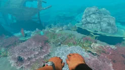 Stranded Deep Nintendo SWITCH^Beam Team Discount