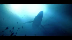 Under the Waves Xbox Series X / Xbox One^QUANTIC DREAM Fashion