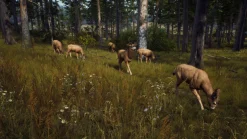 Way of the Hunter PS5^THQ NORDIC GAMES Best