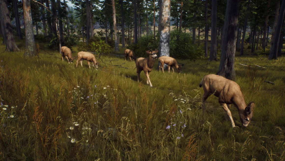 Way of the Hunter PS5^THQ NORDIC GAMES Best