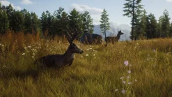 Way of the Hunter PS5^THQ NORDIC GAMES Best