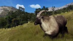Way of the Hunter Wild Expeditions Xbox Series X^THQ NORDIC GAMES Online