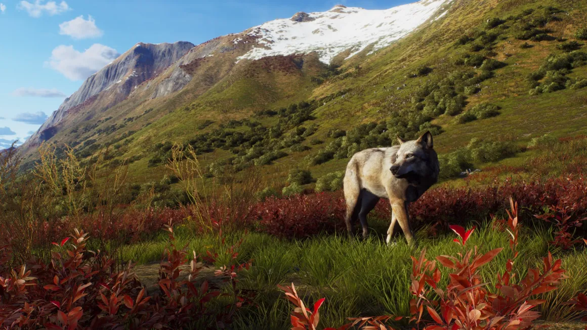 Way of the Hunter Wild Expeditions Xbox Series X^THQ NORDIC GAMES Online