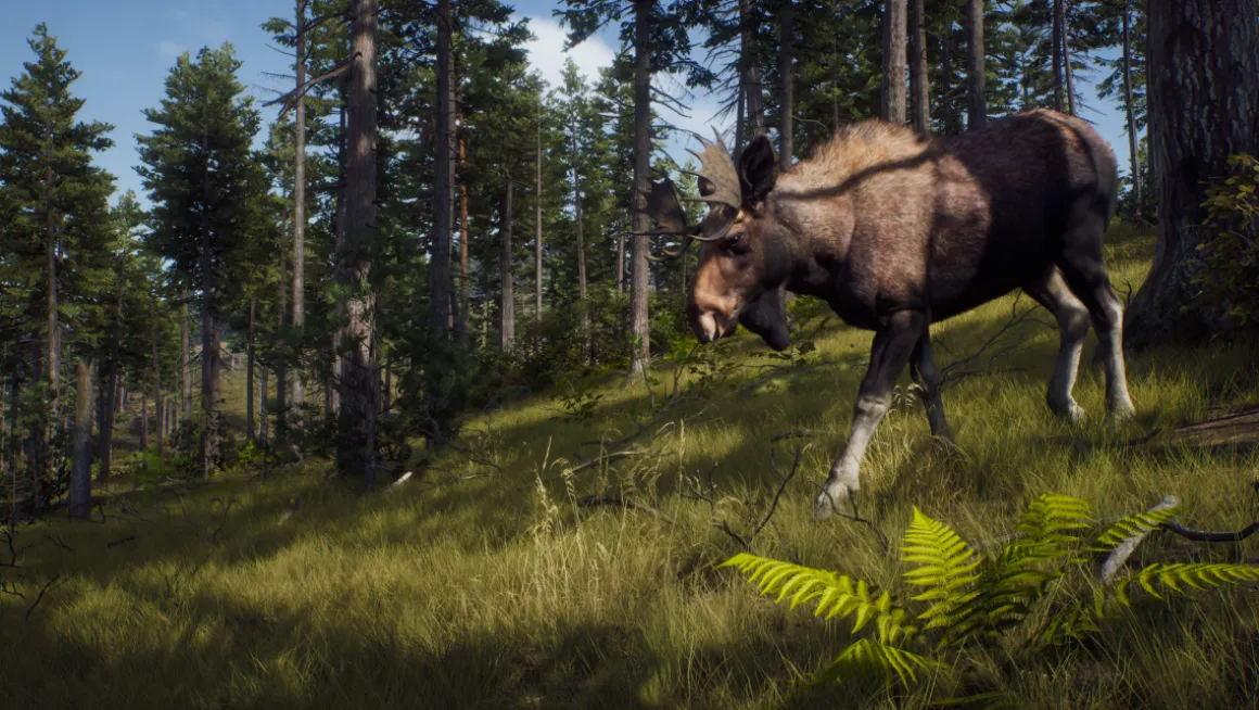 Way of the Hunter Xbox Series X^THQ NORDIC GAMES Flash Sale